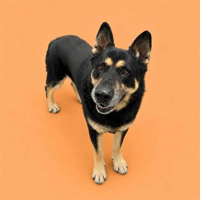 Photo of WALTER