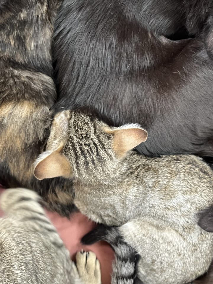 Photo of Rudy (& Nico)