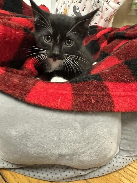 Photo of Binky