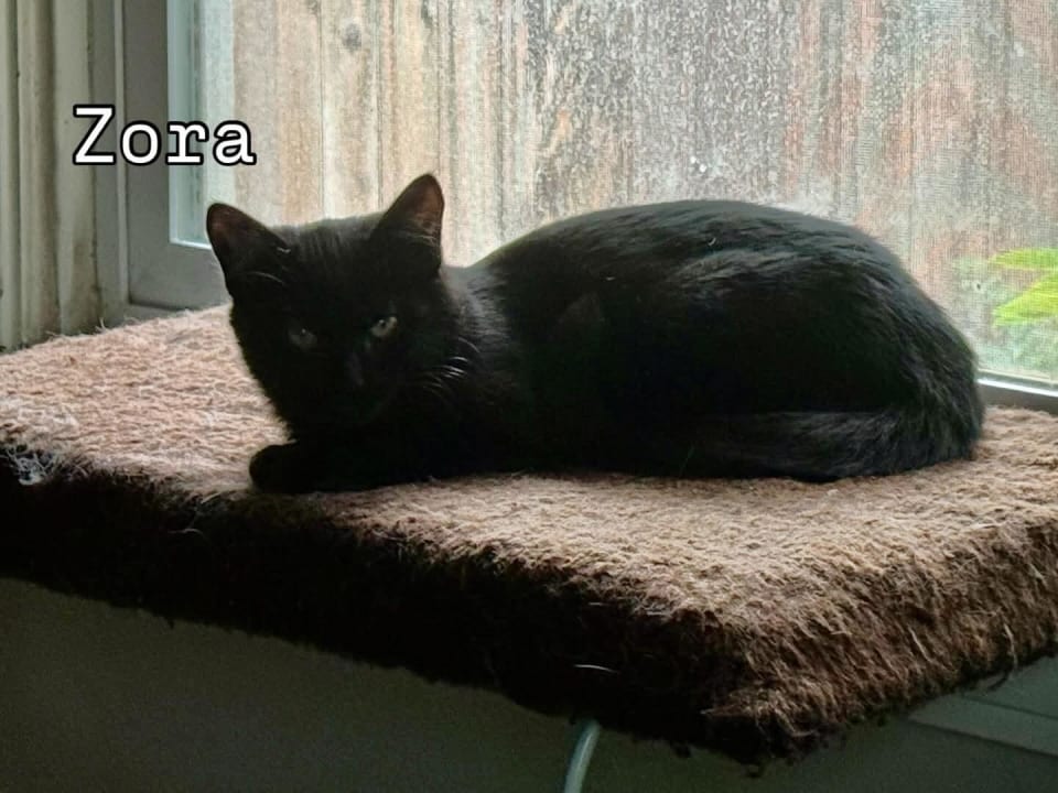 Photo of Zora