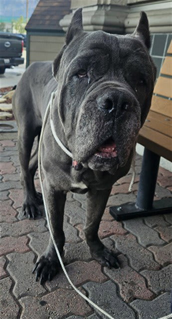 Photo of HERCULES