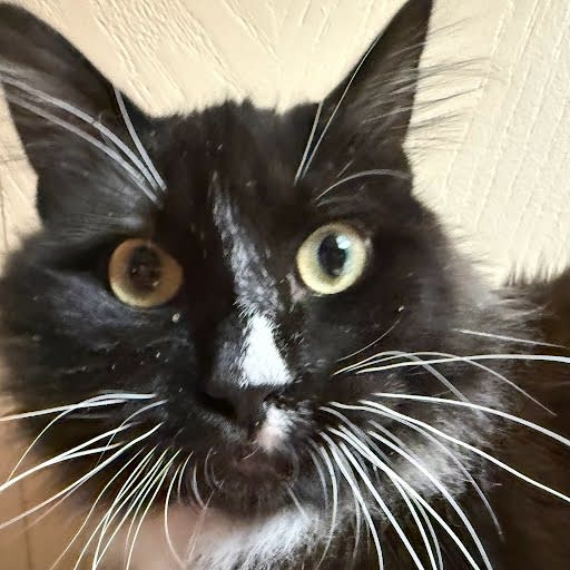 Photo of Smalls