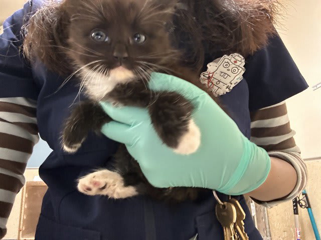 Photo of CINDER