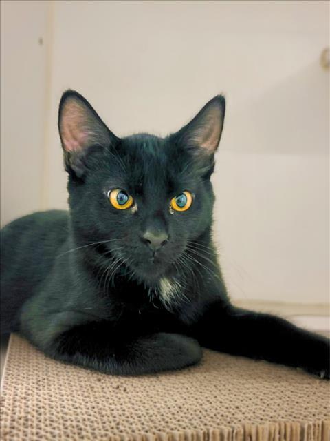 Photo of ZUKO