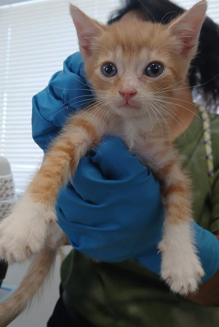 Photo of MO