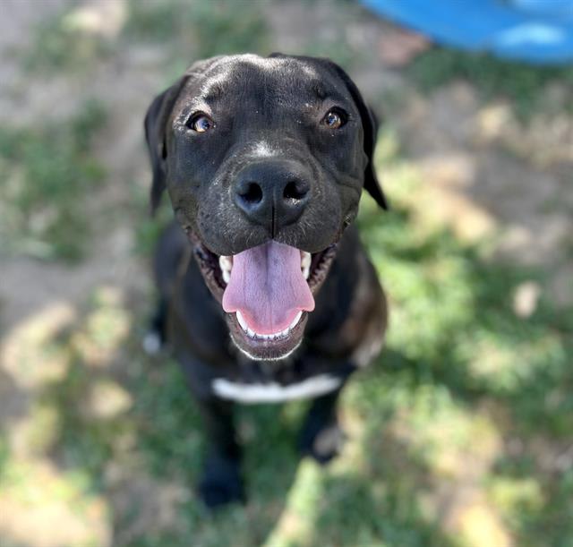Photo of MIDNIGHT