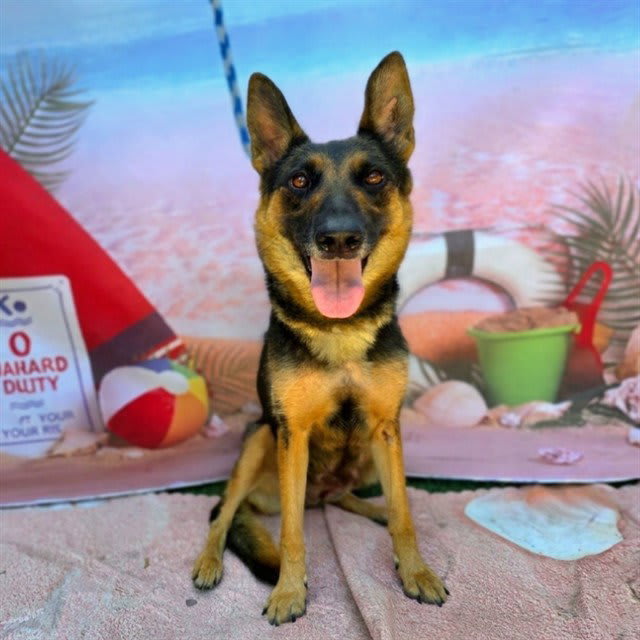 Photo of WILLOW