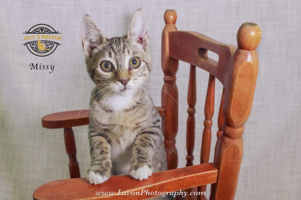 Photo of Missy 2