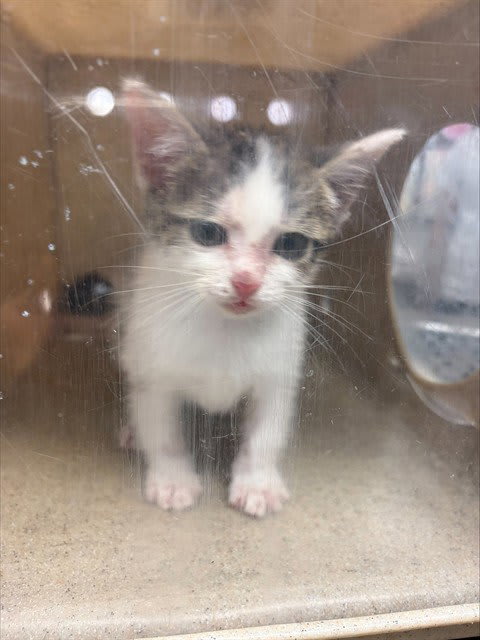 Photo of STORMY