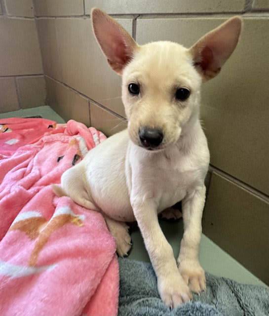 Photo of LUCKY
