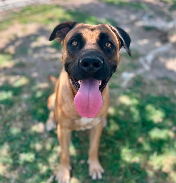 Photo of TUCKER