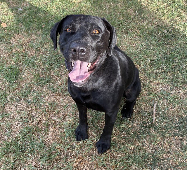 Photo of SAMMY