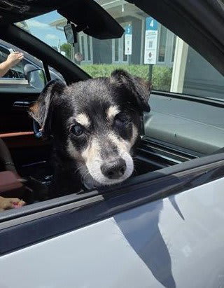 Photo of REGGIE