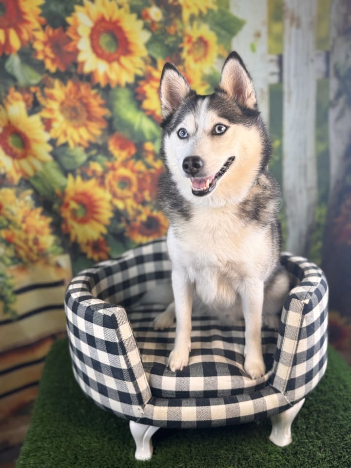 Photo of Cooper