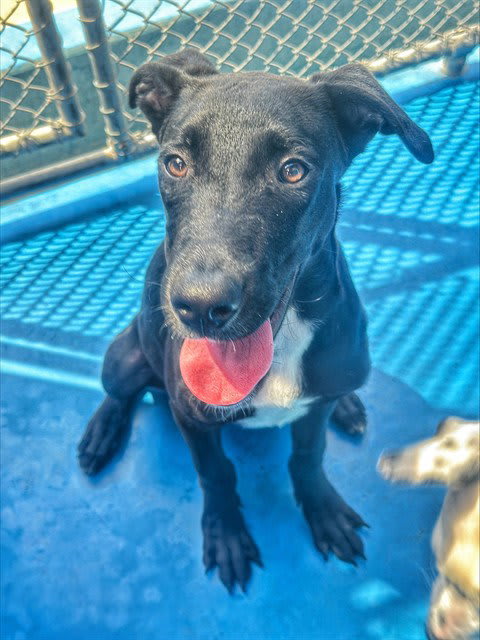 Photo of JETT