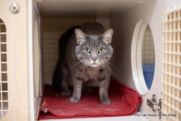 Photo of Thor