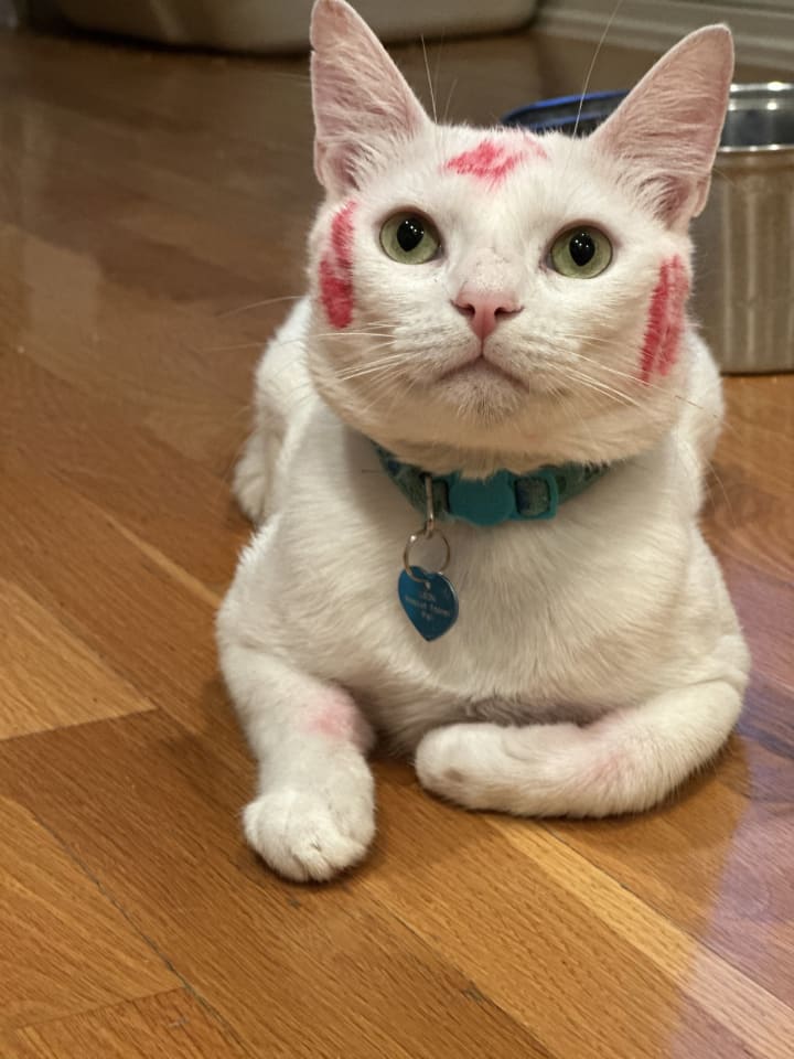Photo of Milky