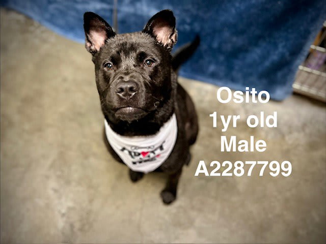 Photo of OSITO