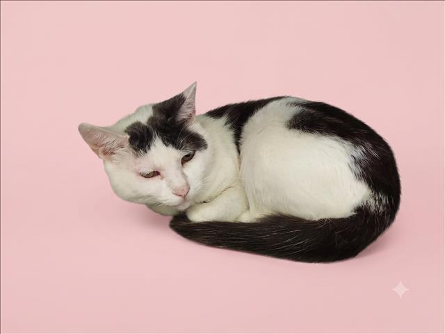 Photo of MARLUNA