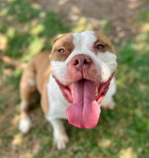 Photo of LUNA