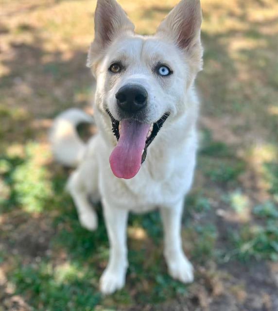 Photo of DAISY