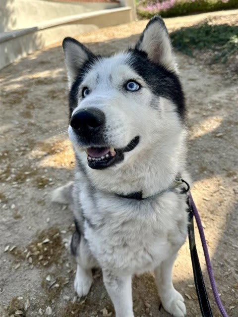 Photo of FINN