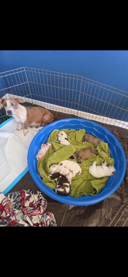 Photo of Emma - Momma