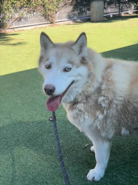 Photo of OAKLEY