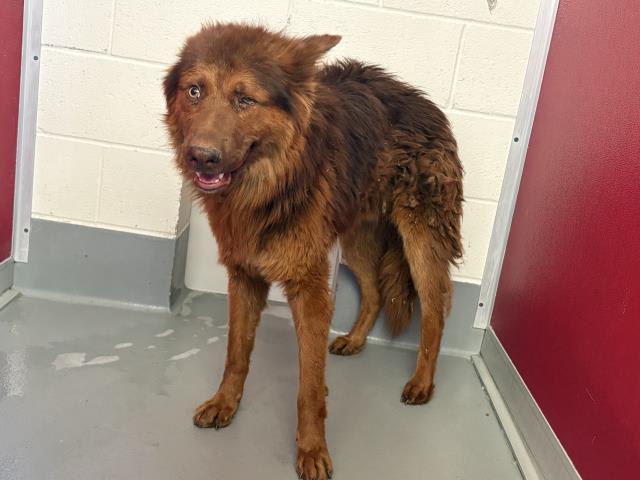 Photo of ODIN