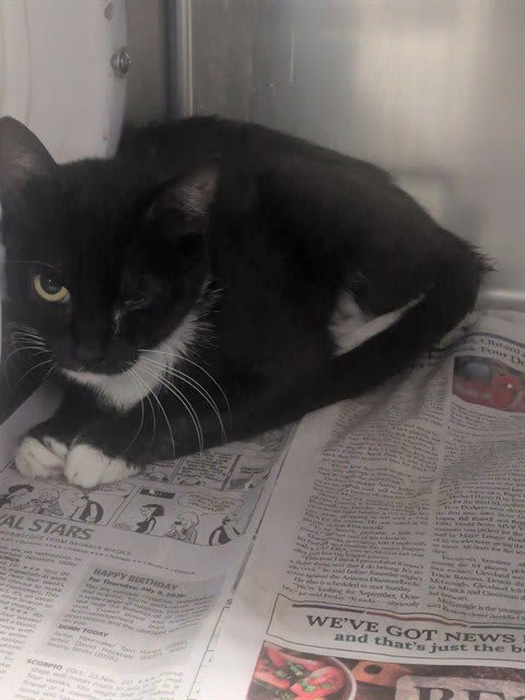 Photo of MAMAY