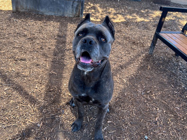 Photo of ATHENA
