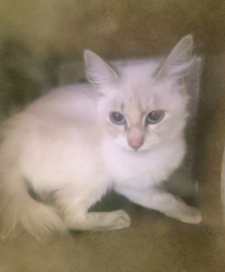 Photo of JUMPY