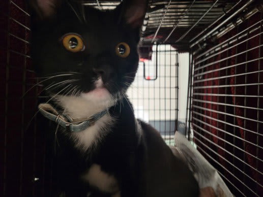 Photo of CHILI