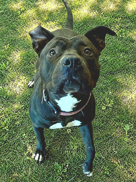 Photo of LOLA