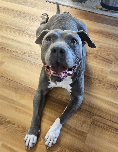 Photo of BOONE