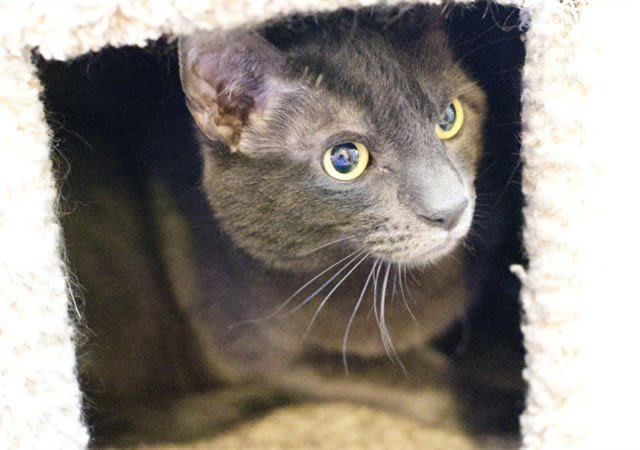Photo of ARCHIMEDES
