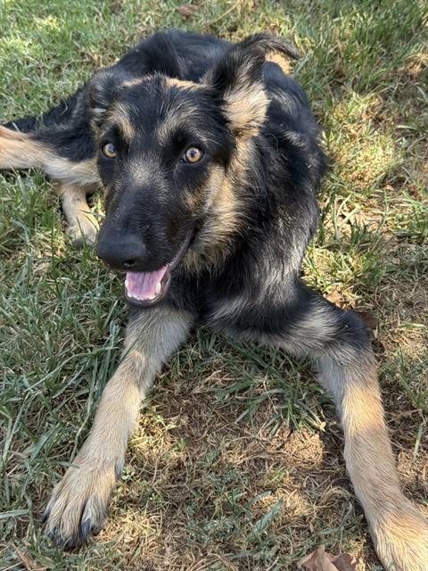Photo of TINA