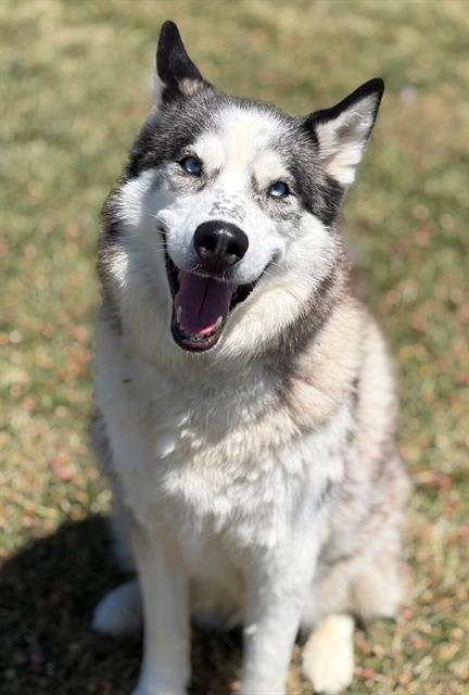 Photo of BONNIE