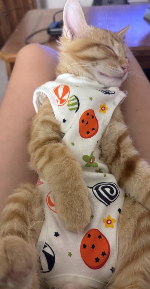 Photo of Sunny