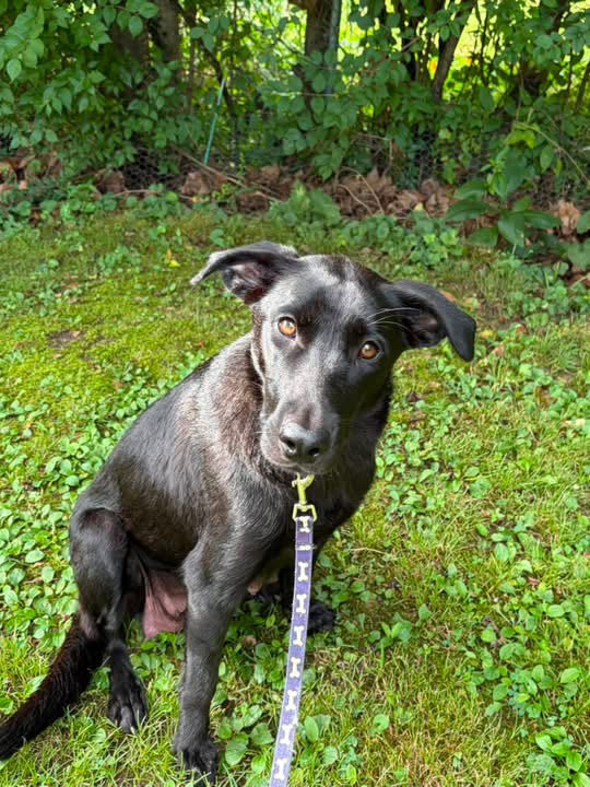 Photo of Marcie
