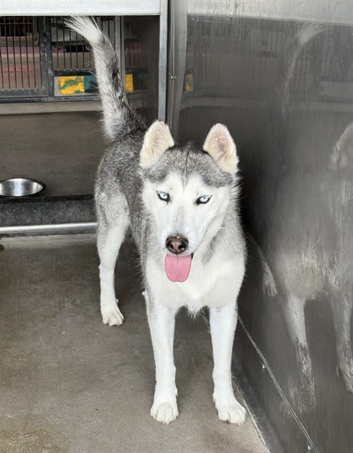 Photo of STORM