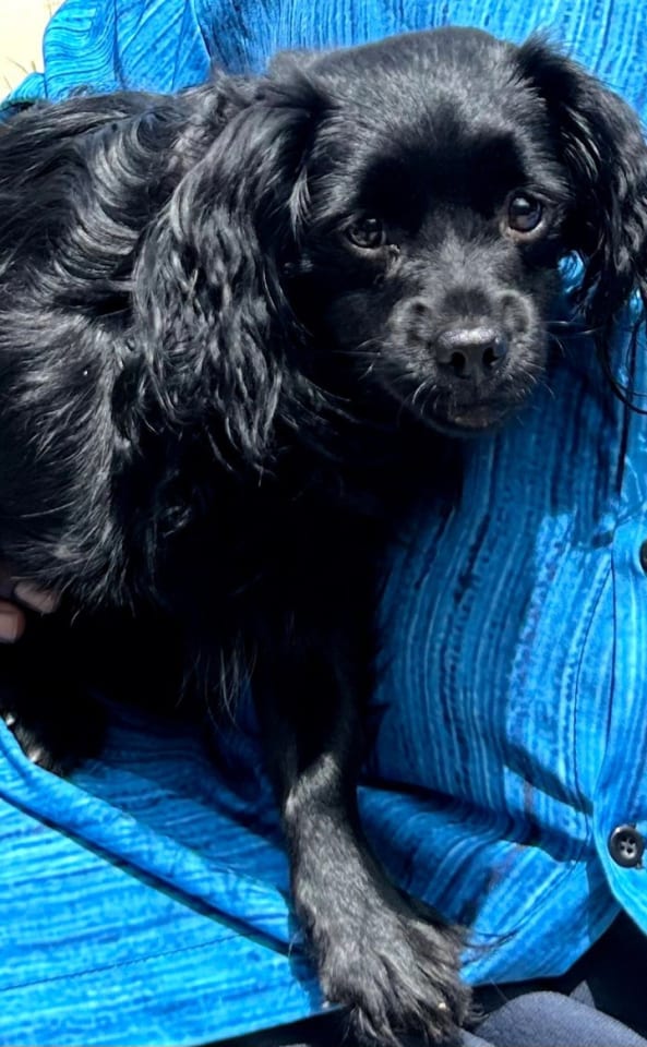 Photo of Minnie