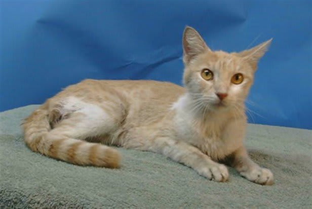 Photo of JUNIPER