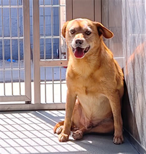 Photo of CODA