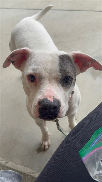 Photo of ZIGGY