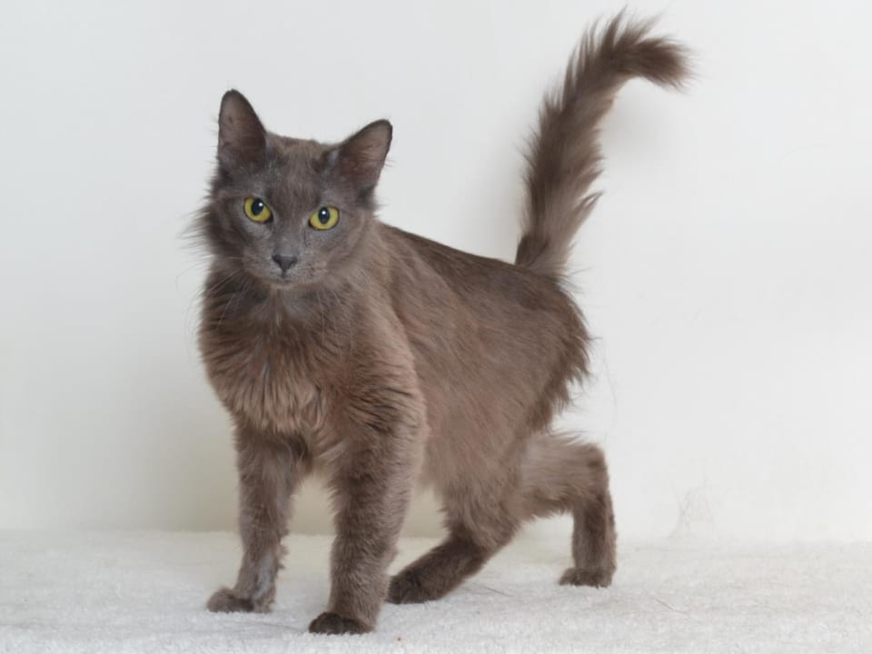 Photo of BON BON