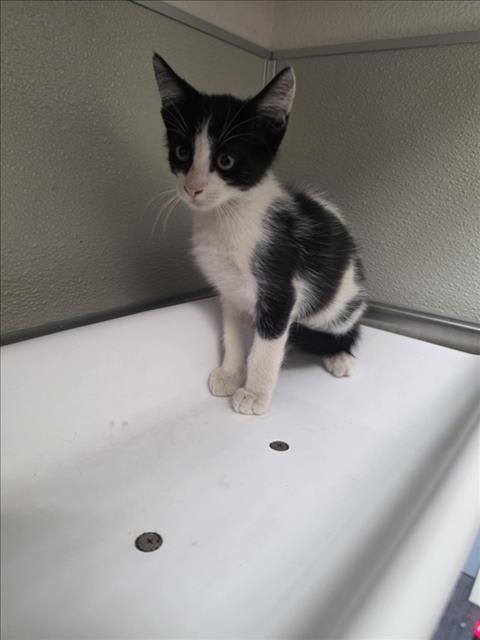 Photo of STEWIE