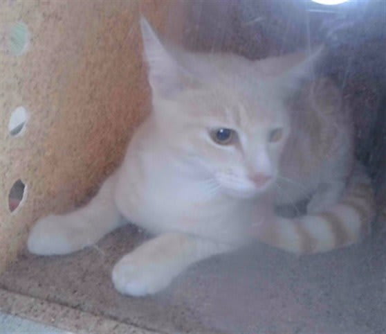Photo of JULIO