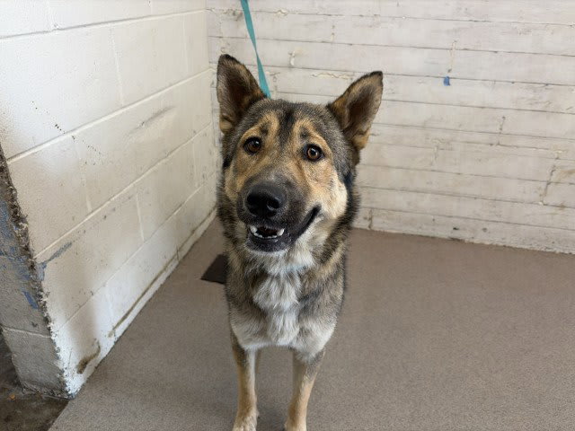 Photo of NOVA