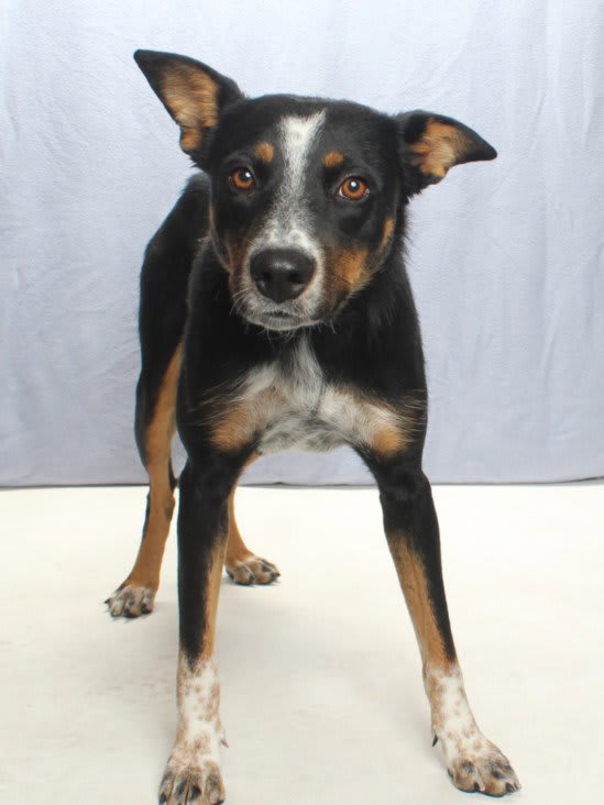Photo of MAGGIE